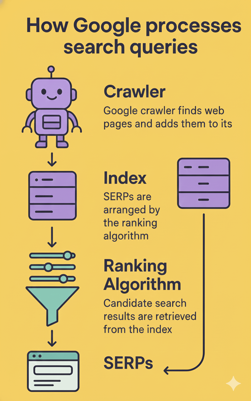 Infographic titled “How Google processes search queries” showing a vertical workflow with illustrated icons: a crawler discovering web pages and adding them to the index, indexed pages processed by a ranking algorithm, and final search results displayed as SERPs.